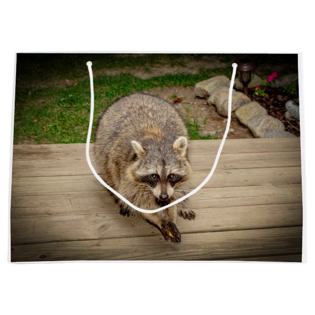 Raccoon med en chip (Framsidan)