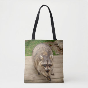 Raccoon med en chip tygkasse