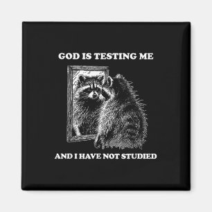 Raccoon Meme, som säger att Gud testar mig Street Magnet