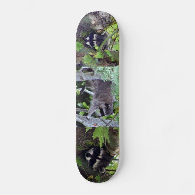 Raccoon Mini Skateboard Bräda 18,5 Cm (Framsida)