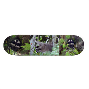 Raccoon Mini Skateboard Bräda 18,5 Cm