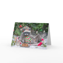 Raccoon Mjölk och Cookies