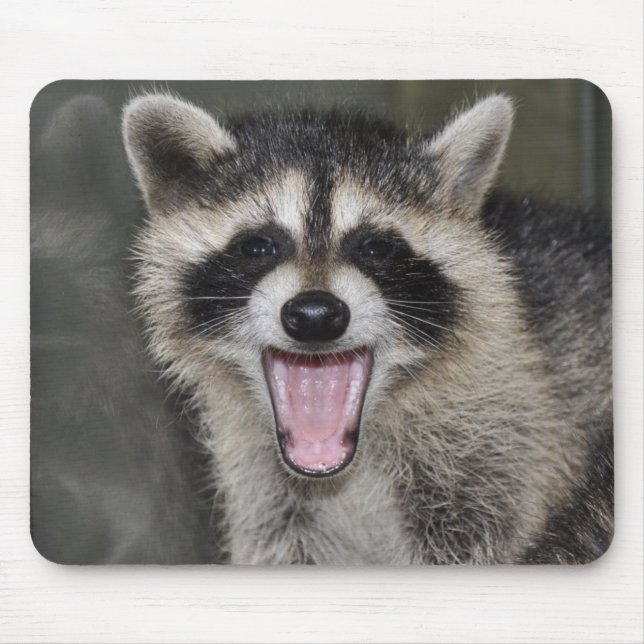 Raccoon Mousepad - #1025 Musmatta (Framsidan)
