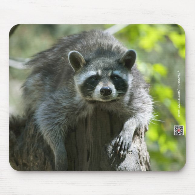 Raccoon Mousepad Musmatta (Framsidan)