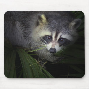 Raccoon Mousepad Musmatta