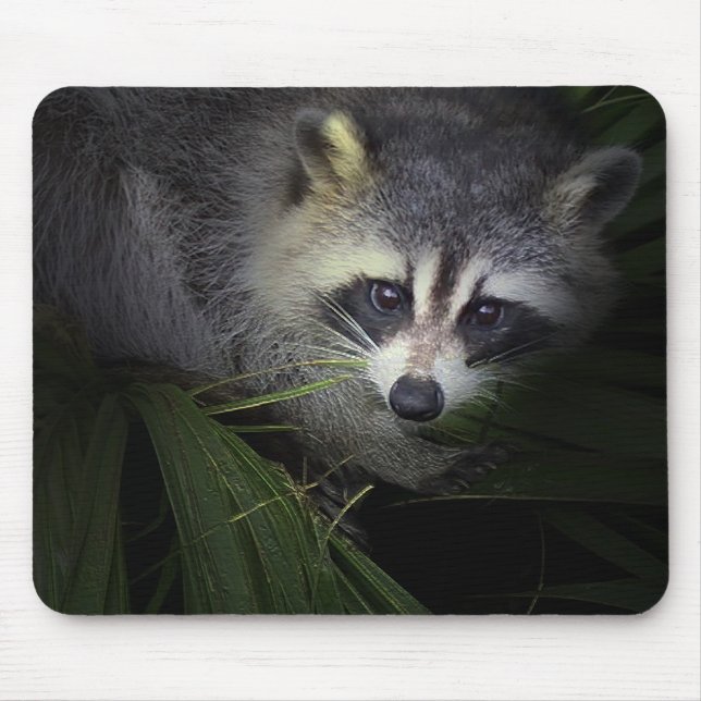 Raccoon Mousepad Musmatta (Framsidan)