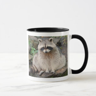 Raccoon Mugg