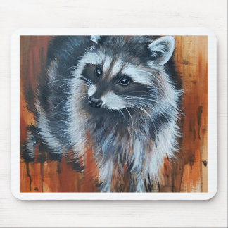 Raccoon Musmatta