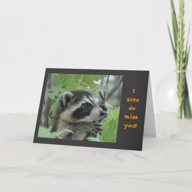 Raccoon - Notecard Kort (Framsida)