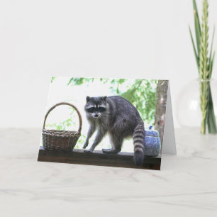 Raccoon och Cookie Burk Kort