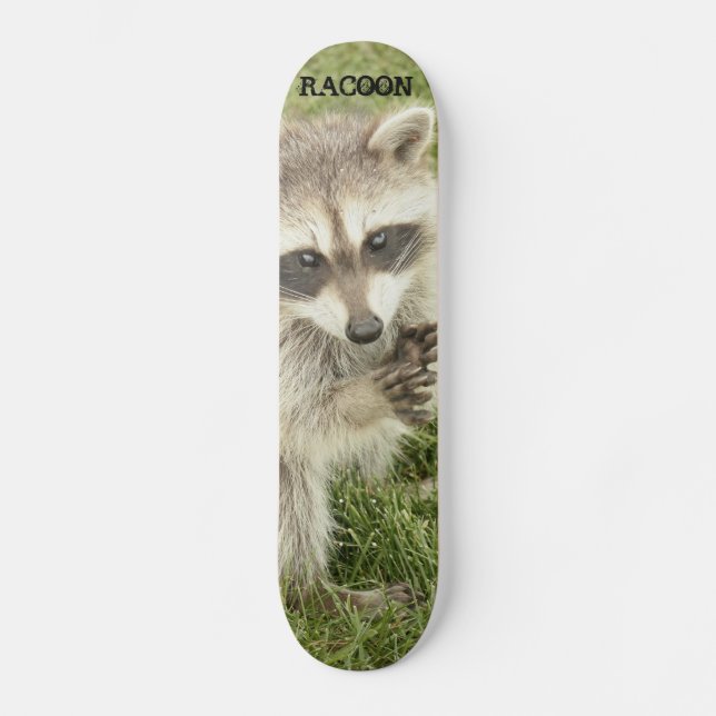 Raccoon Old School Skateboard Bräda 18 Cm (Framsida)
