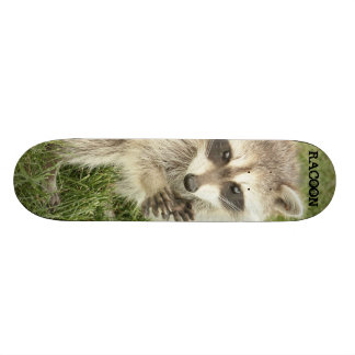 Raccoon Old School Skateboard Bräda 18 Cm