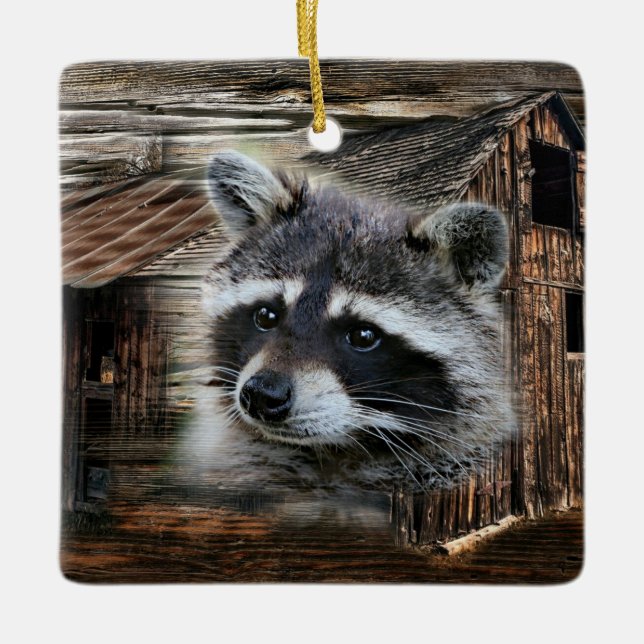 Raccoon på den gamla Barn Julgransprydnad Keramik (Framsida)