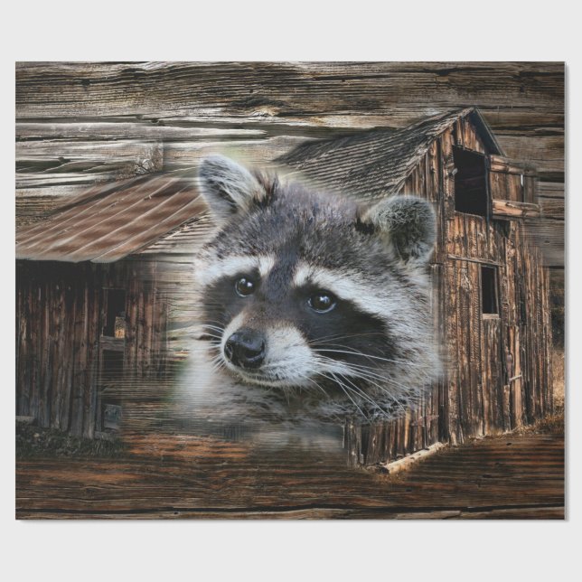 Raccoon på den gamla Barn Presentpapper (Platt)