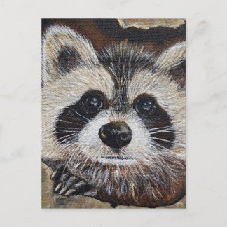 Raccoon Painting Vykort