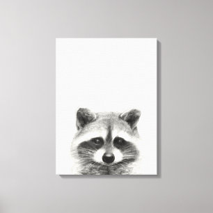 Raccoon Pencil Teckning Canvastryck