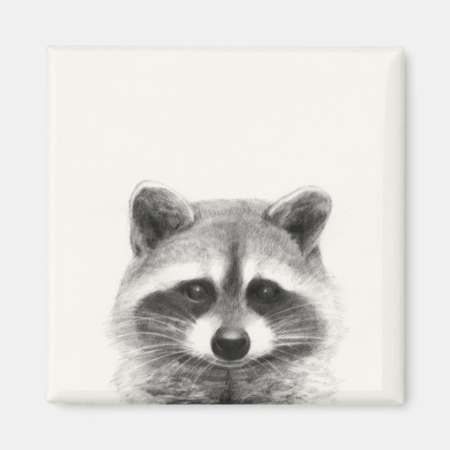 Raccoon Pencil Teckning Magnet (Framsidan)
