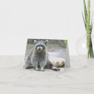 Raccoon Photo Folant Note Card Anteckningskort
