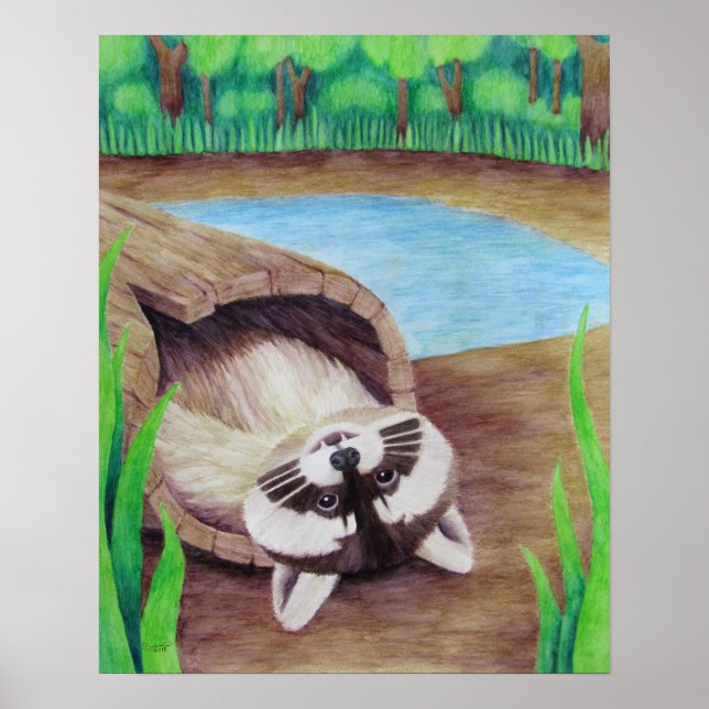 Raccoon Poster (Framsidan)