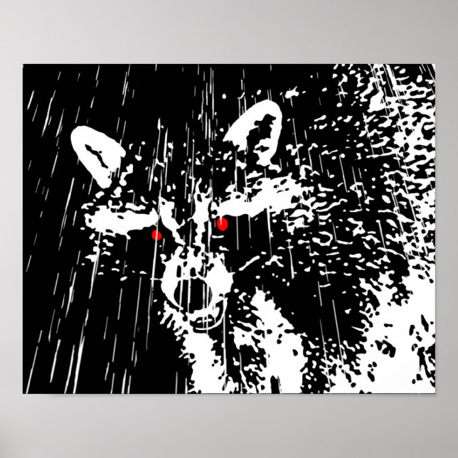 Raccoon Poster (Framsidan)