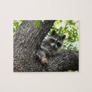 Raccoon - pussel