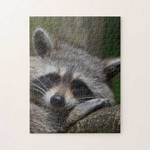 Raccoon Pussel
