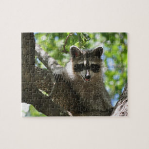 Raccoon - pussel