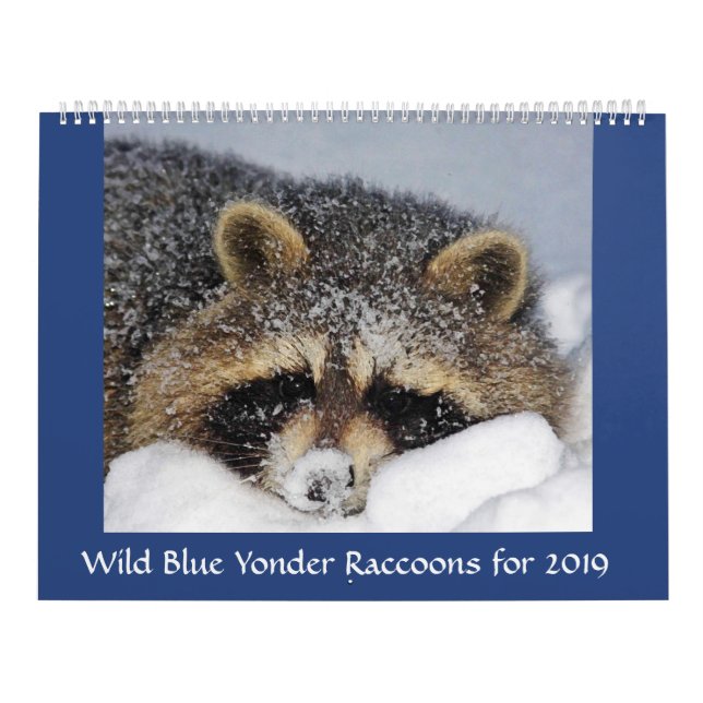 Raccoon Rädding & Release at Vild Blue Yonder 2019 Kalender (Omslag)