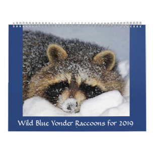 Raccoon Rädding & Release at Vild Blue Yonder 201 Kalender