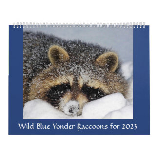 Raccoon Rädding & Release at Vild Blue Yonder 2023 Kalender