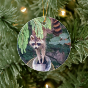Raccoon Raiding the Bird Feeder Julgransprydnad Keramik