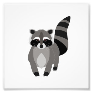 Raccoon Rascal Fototryck
