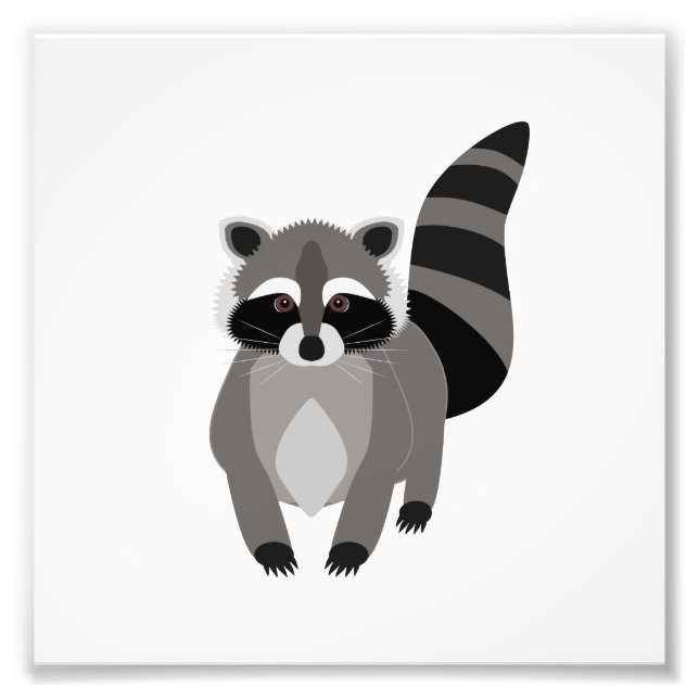 Raccoon Rascal Fototryck (Framsidan)
