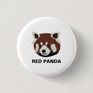 Raccoon Red Panda Raccoon Knapp