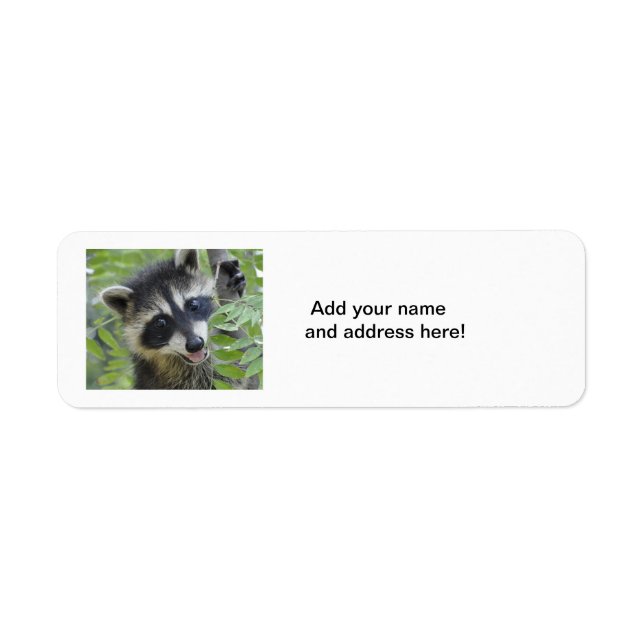 Raccoon Returetiketters Returadress Etikett (Framsidan)