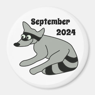 Raccoon, september 2024 magnet
