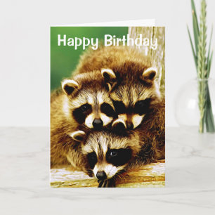 Raccoon Spädbarn Grattis på födelsedagen Greeting Kort