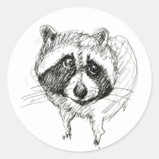 Raccoon Sticker Runt Klistermärke