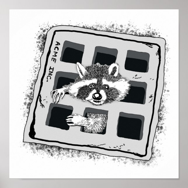 Raccoon Stuck in Grate Illustration Poster (Framsidan)