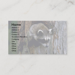 Raccoon-Summer-yngster i ihålig träd Visitkort