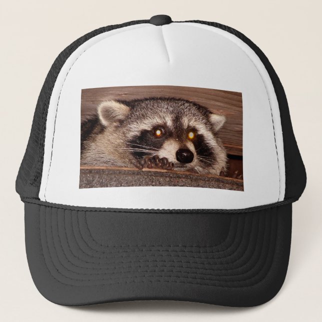 Raccoon Truckerkeps (Framsida)