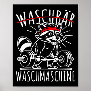 Raccoon Tvättar Maskin Raccoon Fitness Bodybuildin Poster