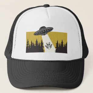 Raccoon UFO Keps