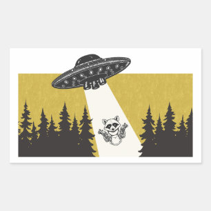 Raccoon UFO Rektangulärt Klistermärke