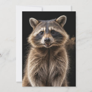 Raccoon Vild Animal Elegant Dramatic Mist Porträtt Meddelande