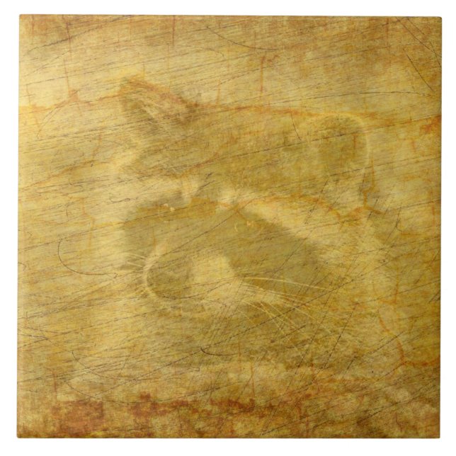 Raccoon Vintage Kakelplatta (Framsidan)