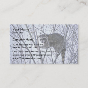 Raccoon Visitkort