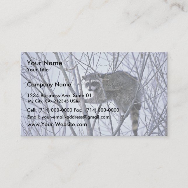 Raccoon Visitkort (Framsida)