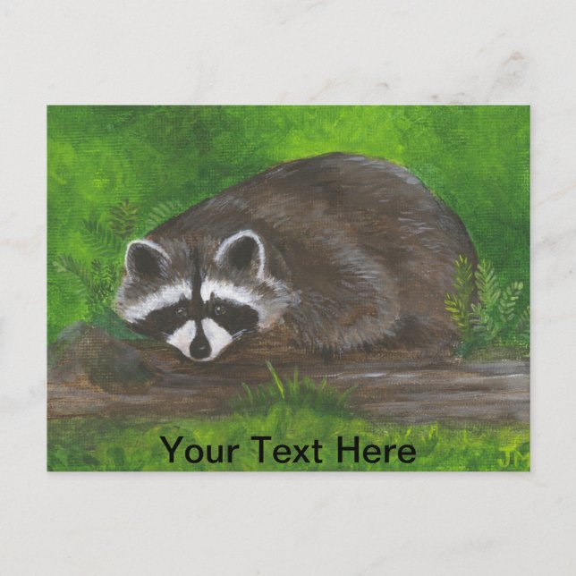 Raccoon Vykort (Framsida)
