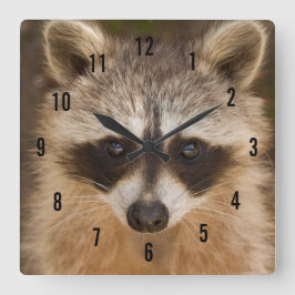 Raccoon Wall Clock Fyrkantig Klocka
